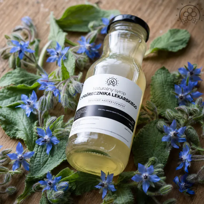 Syrop z ogórecznika lekarskiego — zdjęcie aranżacyjne